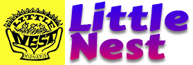 thelittlenest.in